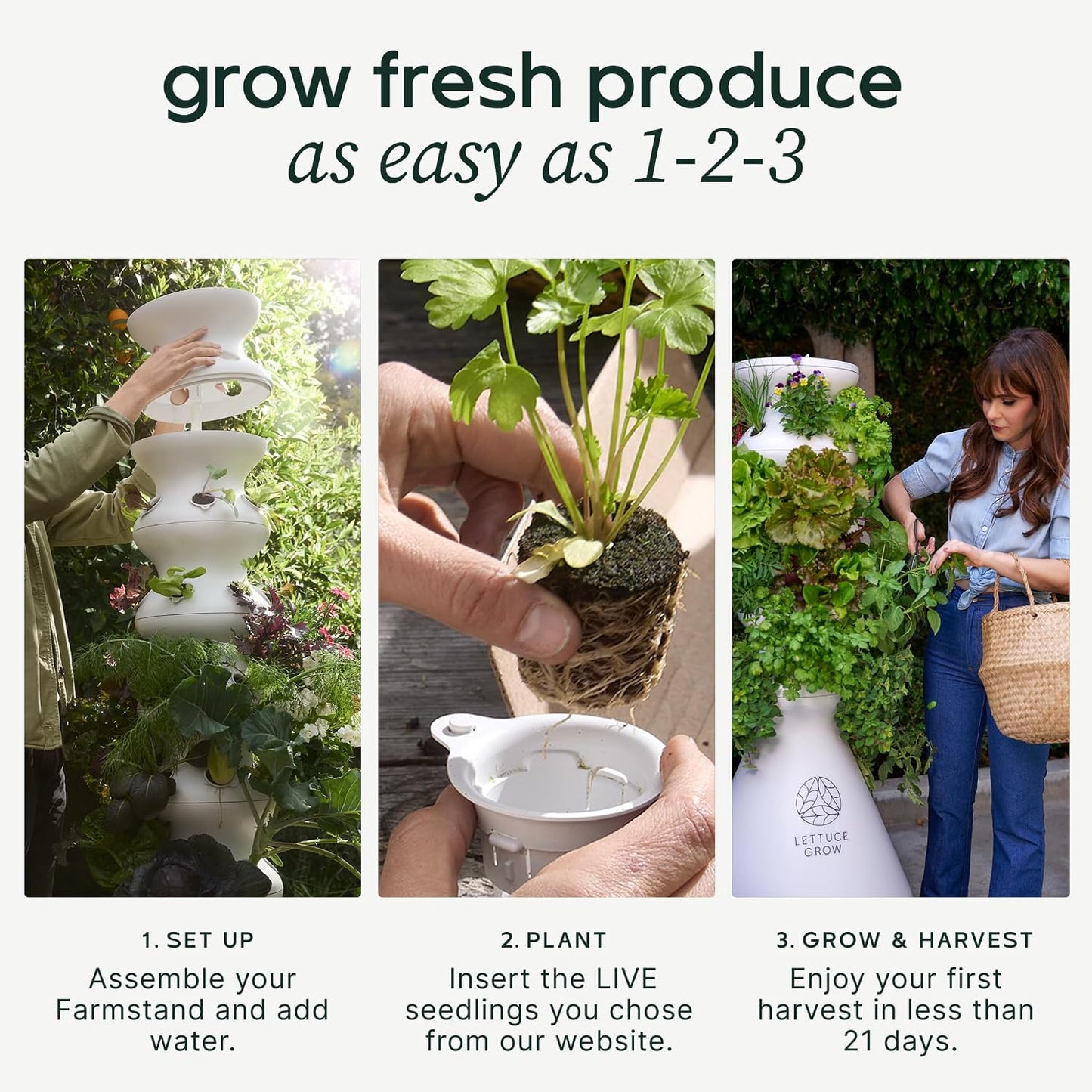 Farmstand Outdoor Starter Kit | 24 Seedlings | 4Ft 10In | USA