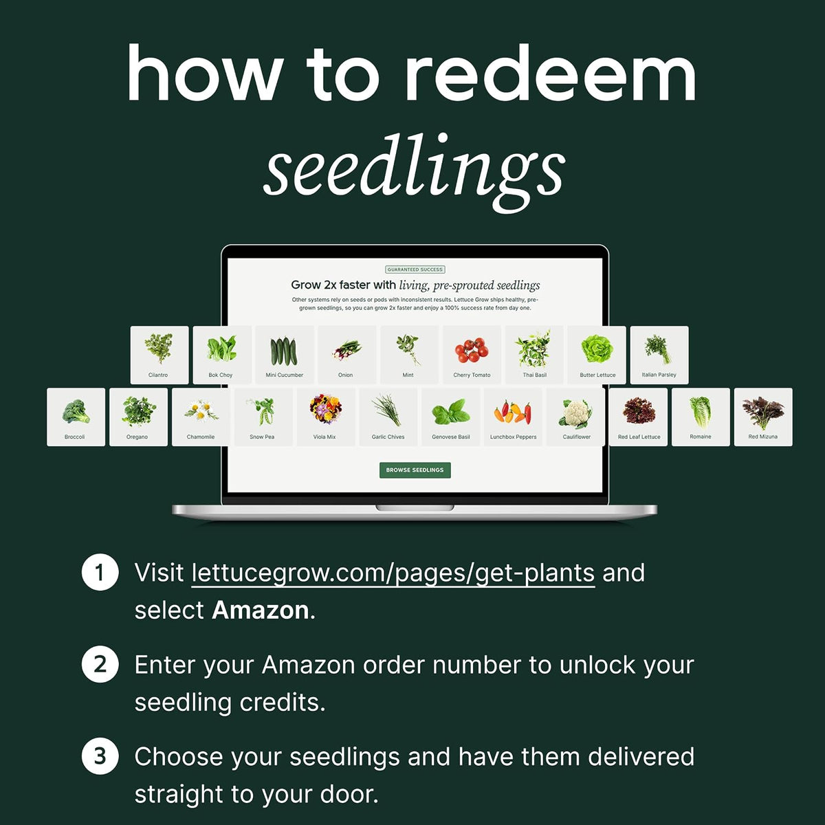 Farmstand Outdoor Starter Kit | 24 Seedlings | 4Ft 10In | USA