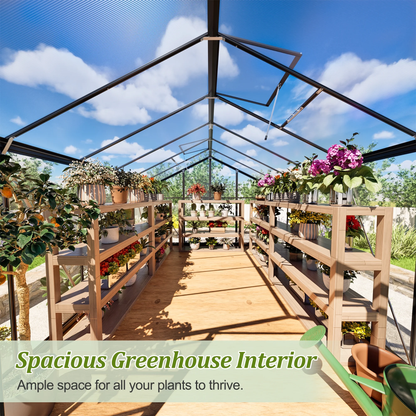 12'X8' Outdoor Greenhouse, Walk-In Polycarbonate Green House with Aluminum Frame for Backyard, Black