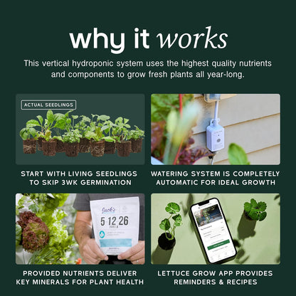 Farmstand Starter Kit + 24 Seedling Credit | Medium Hydroponic Growing System Kit | Self-Watering Outdoor Vertical Garden Planter Tower | 4Ft 10In | Made in USA