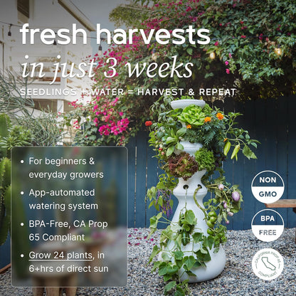 Farmstand Starter Kit + 24 Seedling Credit | Medium Hydroponic Growing System Kit | Self-Watering Outdoor Vertical Garden Planter Tower | 4Ft 10In | Made in USA