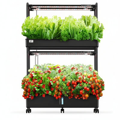 60 Pod Vertical Hydroponic Garden Kit with 2 Light Modes, Auto Circulating Water System, 32L Indoor Gardening System