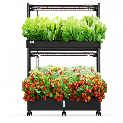 60 Pod Vertical Hydroponic Garden Kit with 2 Light Modes, Auto Circulating Water System, 32L Indoor Gardening System